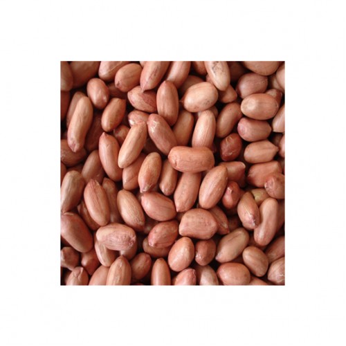 cacahuètes ou arachides crues décortiquées - 1kg alimentation